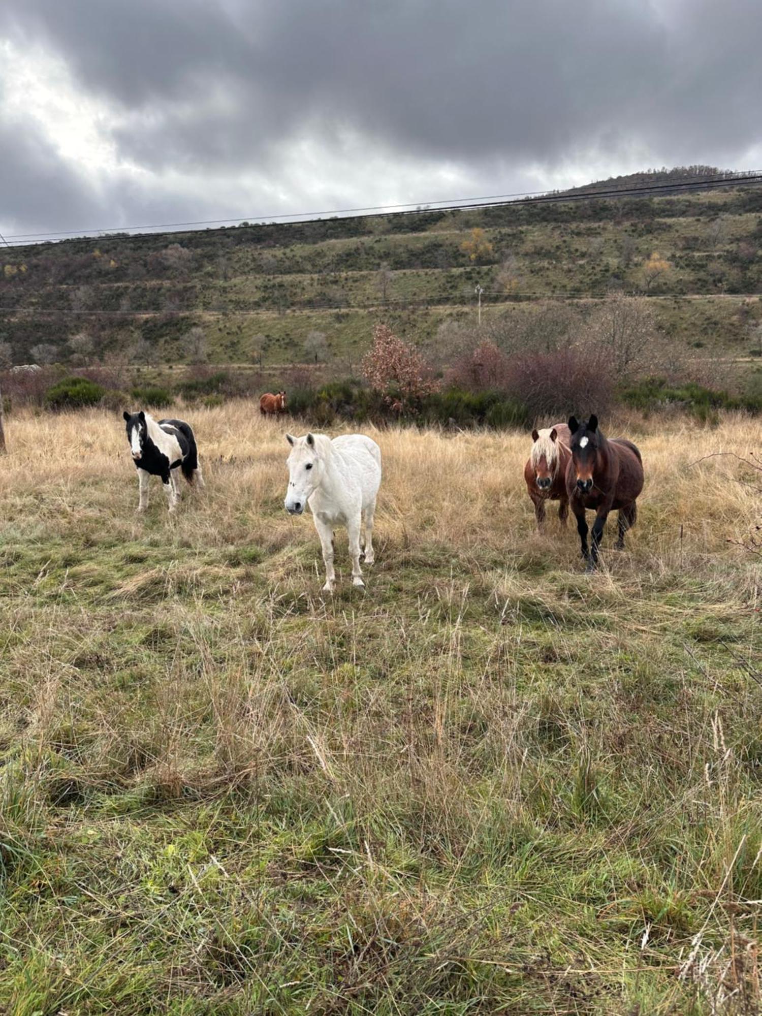 Los Tres Horreos Felechas Esterno foto